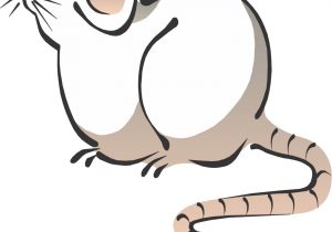 300x210 Free Pictures Of Cartoon Mice Download Free Clip Art Free Clip
