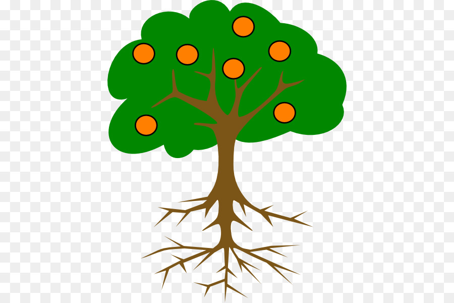 900x600 Tree Branch Root Clip Art