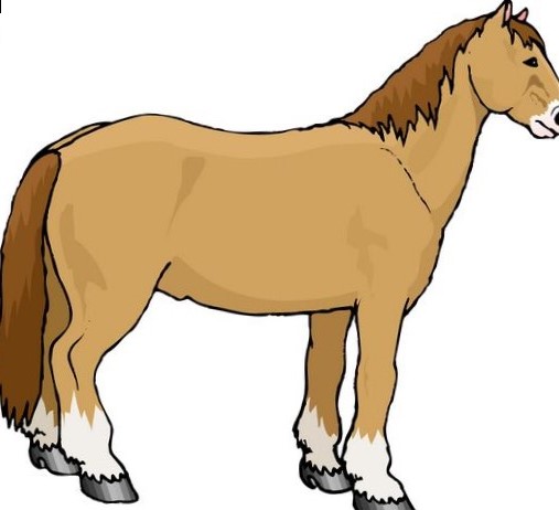 507x462 Serape Horse Pictures Clip Art