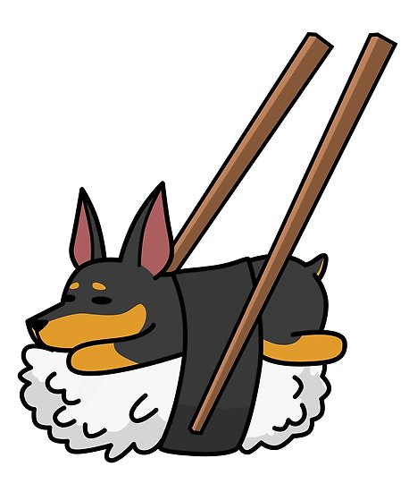 458x550 Funny Sushi Miniature Pinscher Posters By Ilovepaws Redbubble