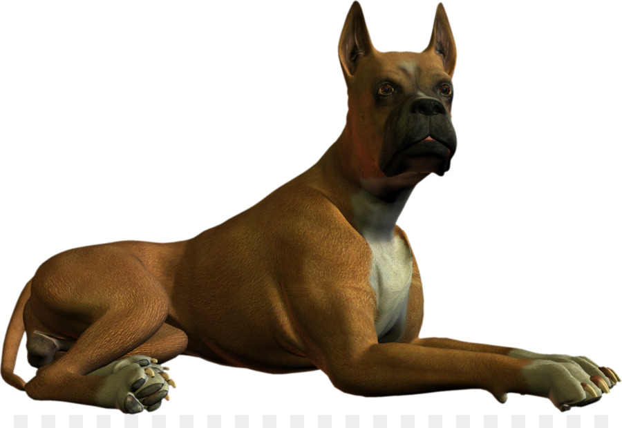 900x620 Boxer Clip Art