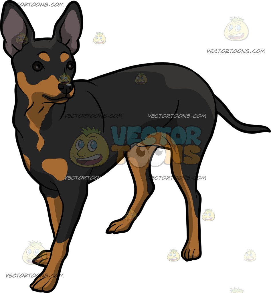 947x1024 Min Pin Clipart