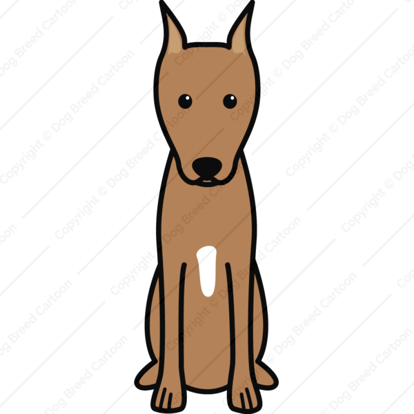 600x600 Miniature Pinscher