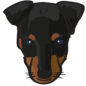 276x276 Radek Fiala On Behance