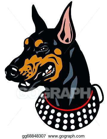 360x470 Doberman Clip Art Vector Stock Dog Head Doberman Isolated On White