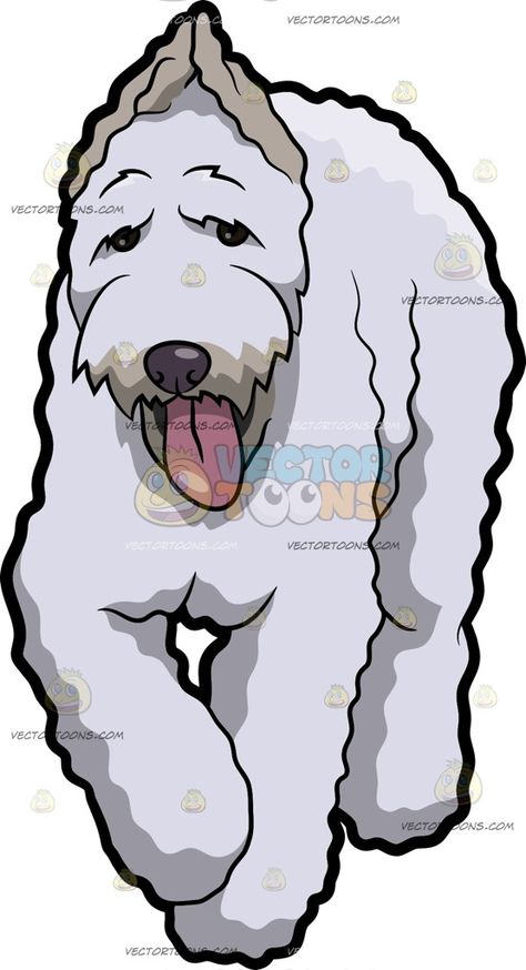 474x874 Schnauzer Clipart Head