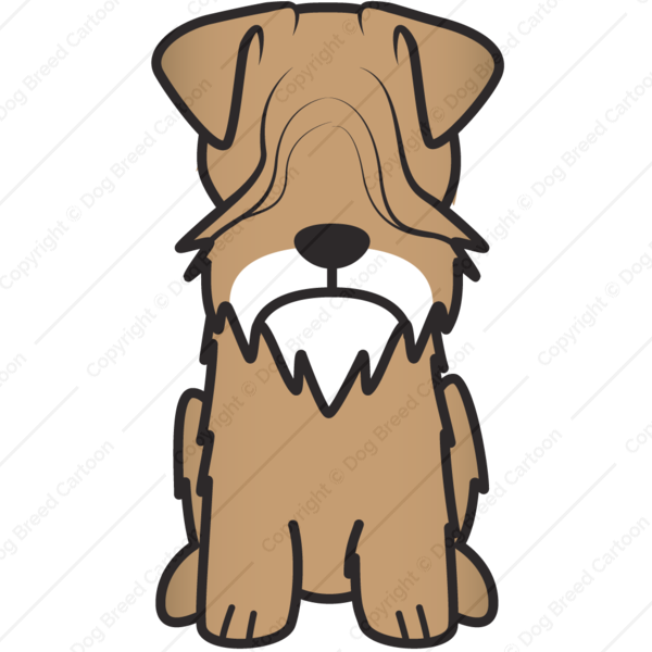 600x600 Cesky Terrier