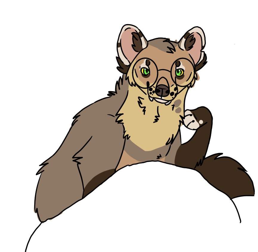 865x846 Marten Clipart Furry