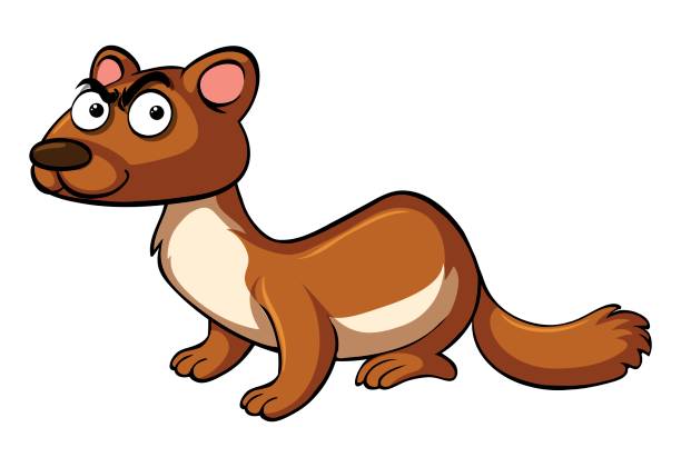 612x420 Mongoose Clipart Face