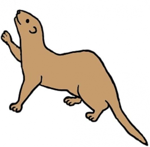 500x491 Top 95 Ferret Clip Art