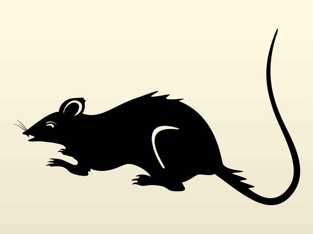 1024x767 Black Rat Clip Art