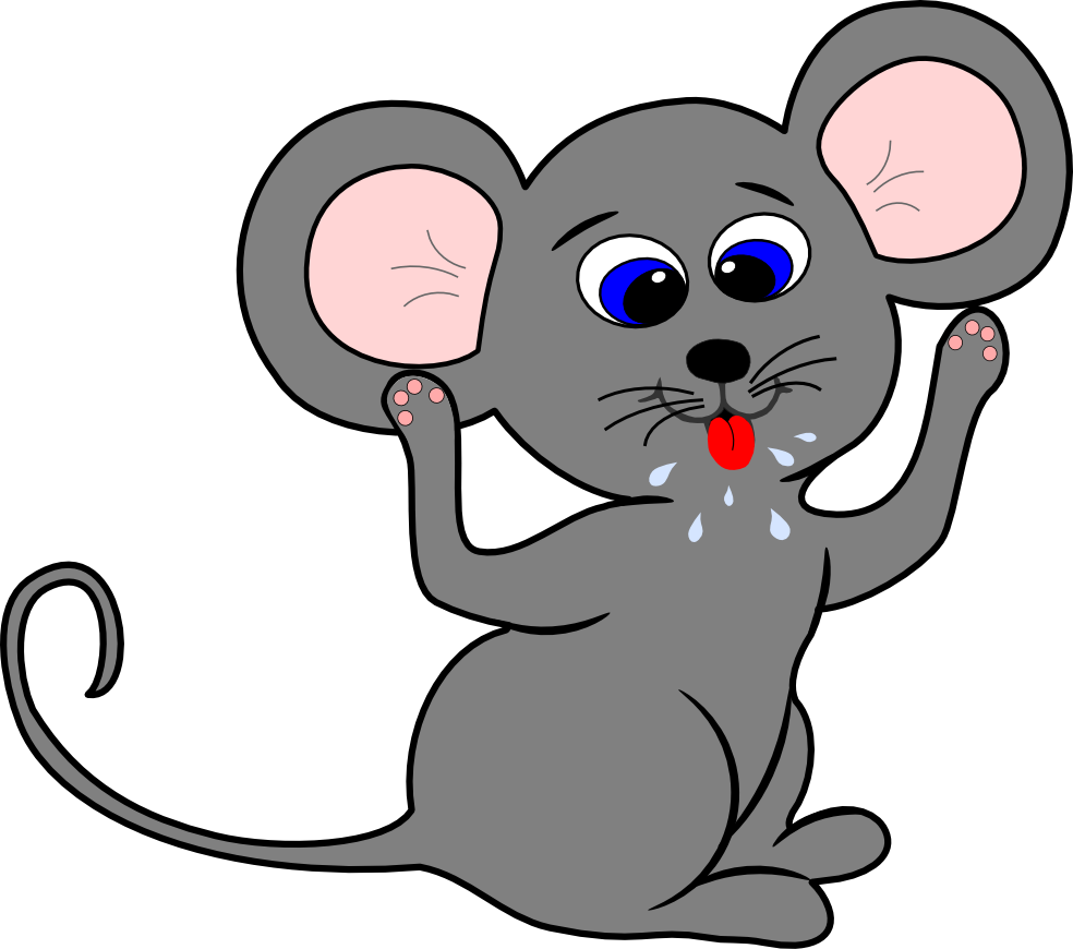 984x870 Gray Clipart Mouse Face
