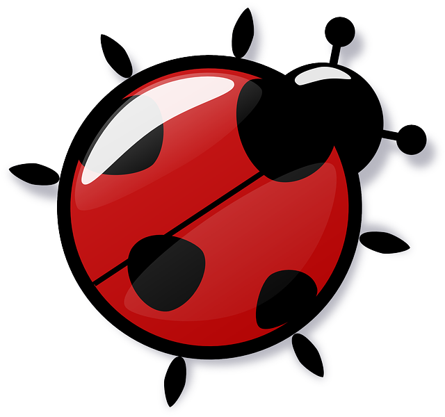 640x600 White Ladybug With Spots Clip Art 2122161