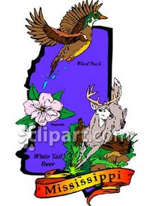 225x300 State Flower, Animal, And Bird Of Mississippi