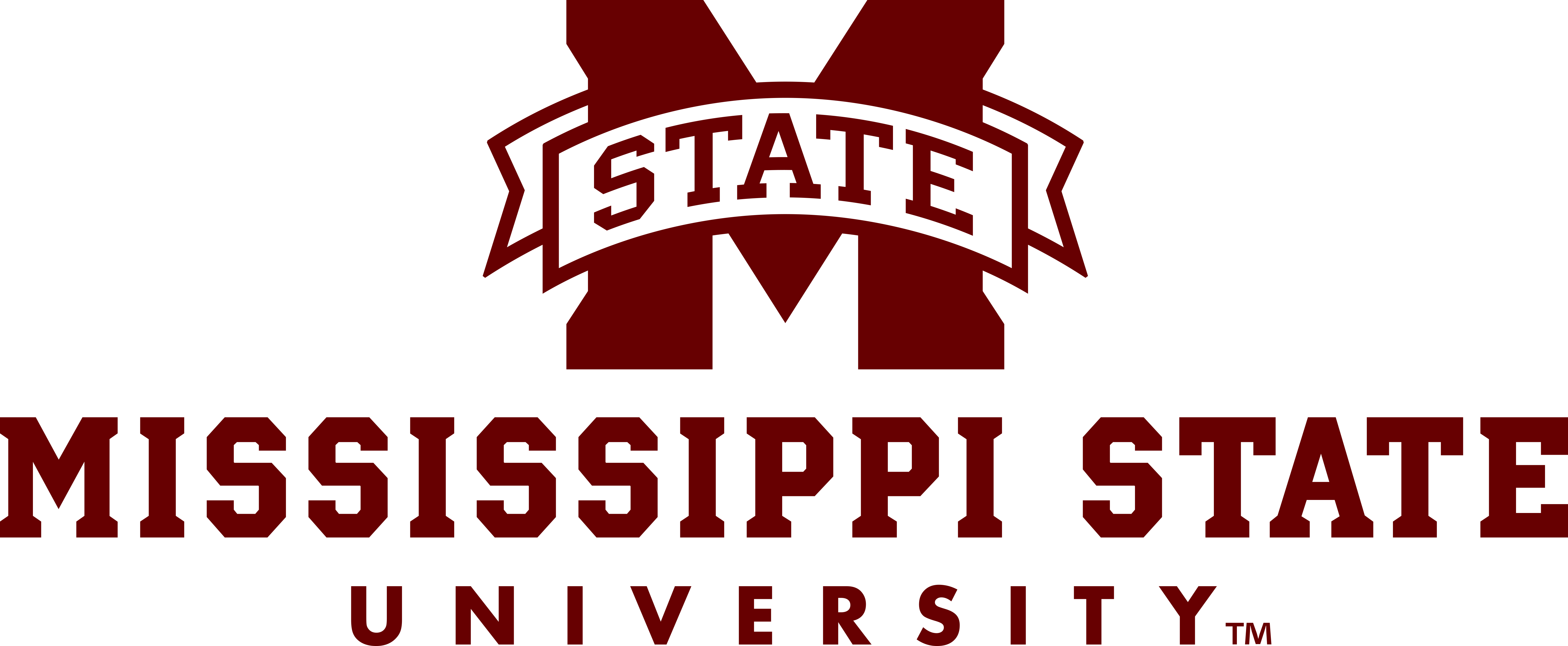 6000x2472 Msu Logo Template