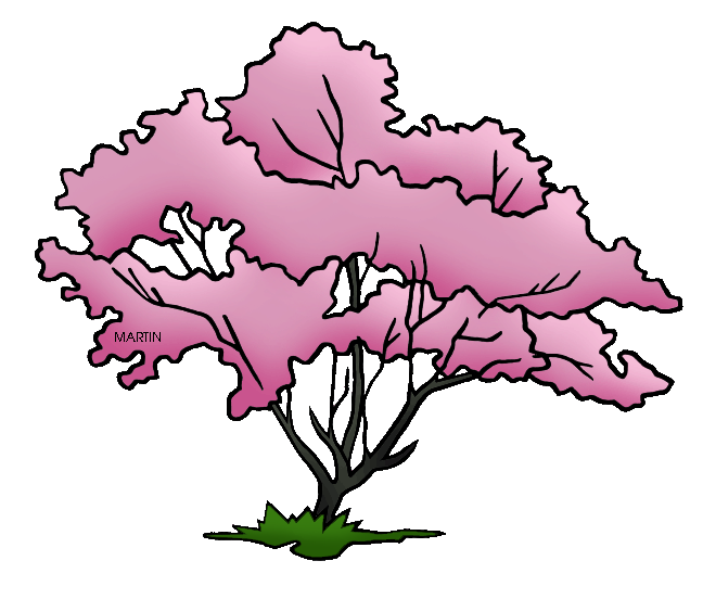 648x552 United States Clip Art By Phillip Martin, Missouri State Tree