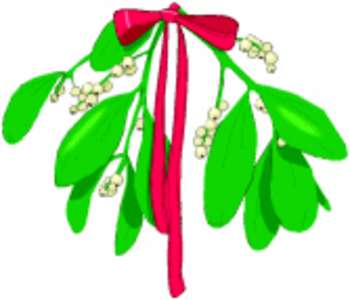 350x300 Free Clipart Picture Of Mistletoe