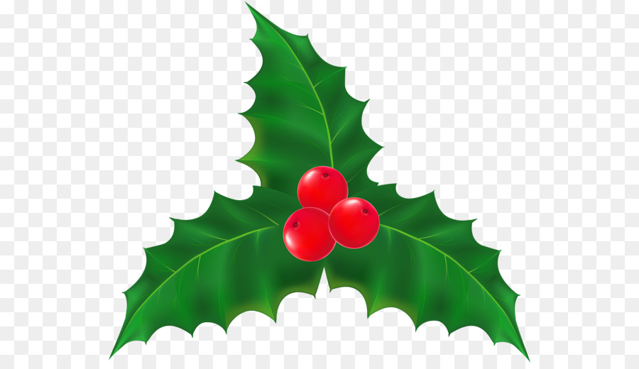 900x520 Mistletoe Plant Christmas Clip Art