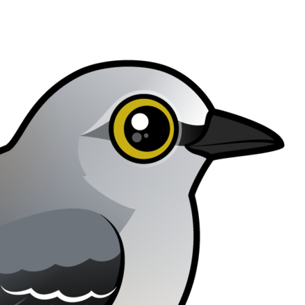 440x440 Meet The Cute Northern Mockingbird By Birdorable
