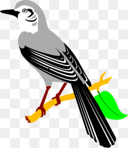 260x300 Northern Mockingbird Clip Art