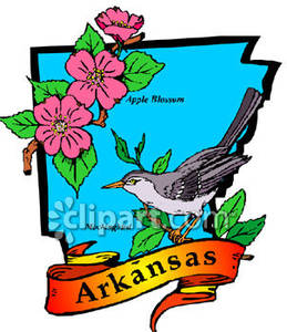 259x300 Teal State Of Illinois With State Symbols Of The Mockingbird