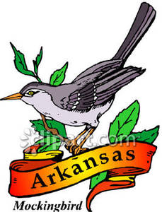 229x300 The State Bird Of Arkansas, The Mockingbird