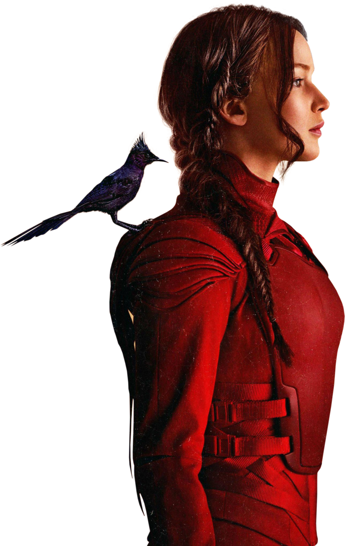 711x1124 The Hunger Games Mockingjay