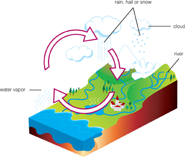 373x316 Model In Science Clipart