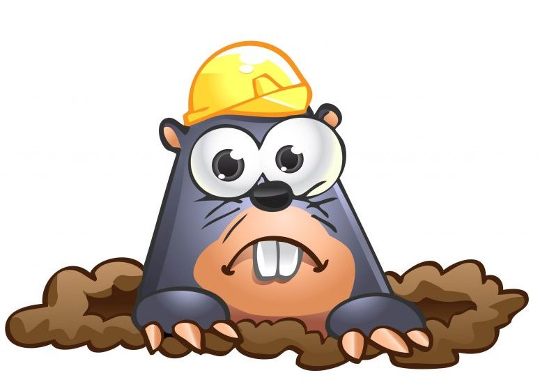 775x548 Mole Clipart Animated