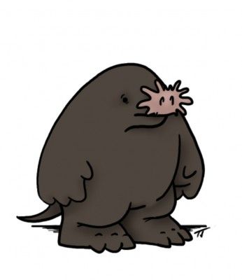 346x400 Cool Cartoon Moles Mole Animal