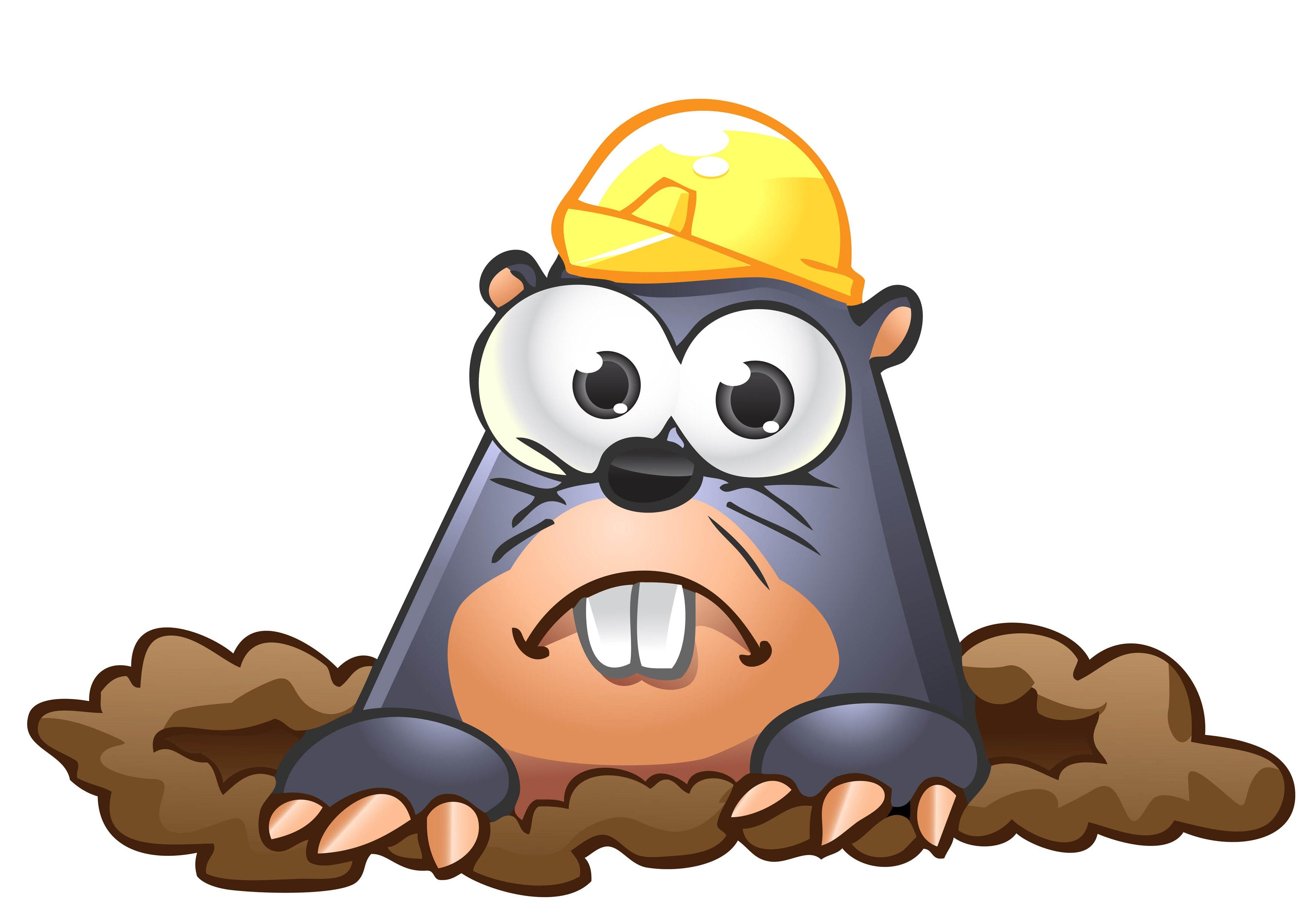 3508x2480 Best Of Mole Clipart Gallery