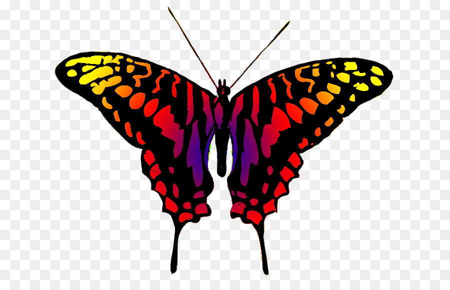 900x580 Monarch Butterfly Clip Art