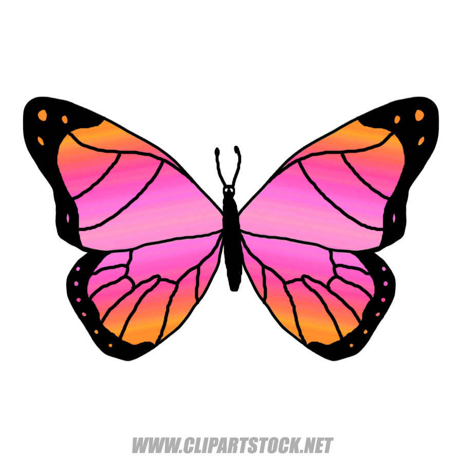 905x905 Original Butterfly Clip Art Clipart Panda