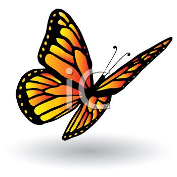 350x350 Royalty Free Clip Art Image Orange And Black Butterfly