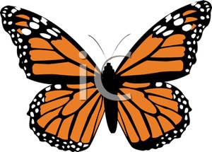 300x215 An Orange Monarch Butterfly Clipart Picture