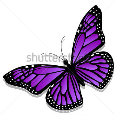 380x380 Butterfly Clipart Side