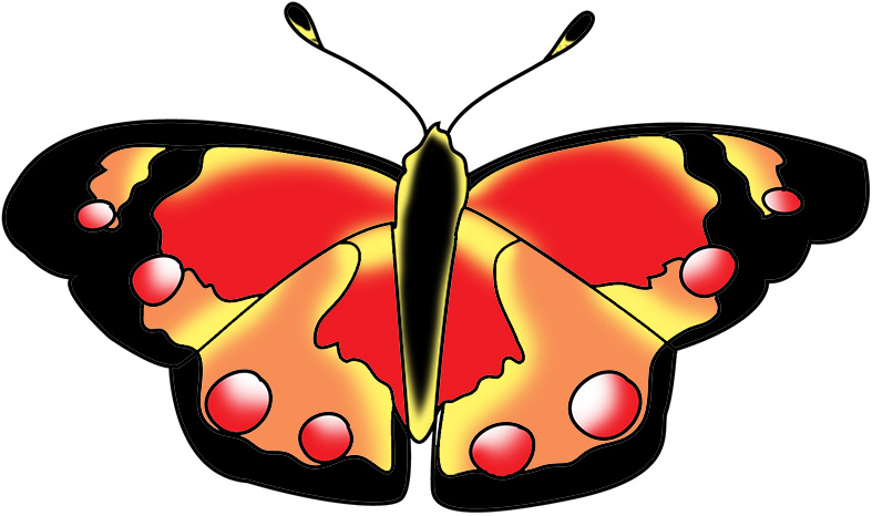 787x466 Butterfly Clipart Red