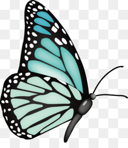 260x300 Free Download Butterfly Euclidean Vector Clip Art