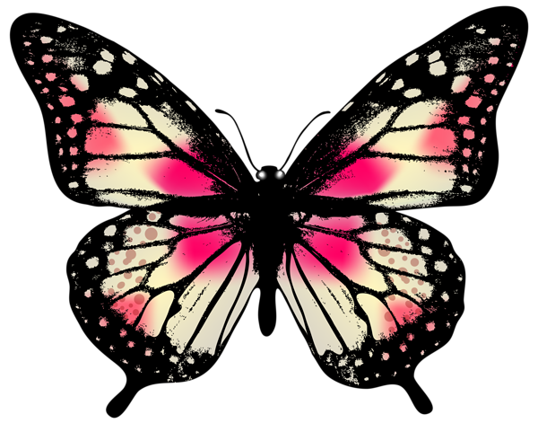 600x471 Large Pink Butterfly Png Clip Art Image Art And Inspiration