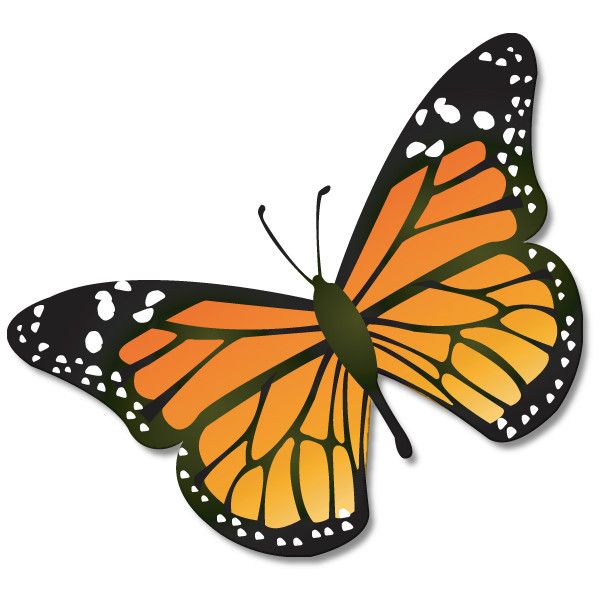 600x600 Monarch Butterfly Usgs