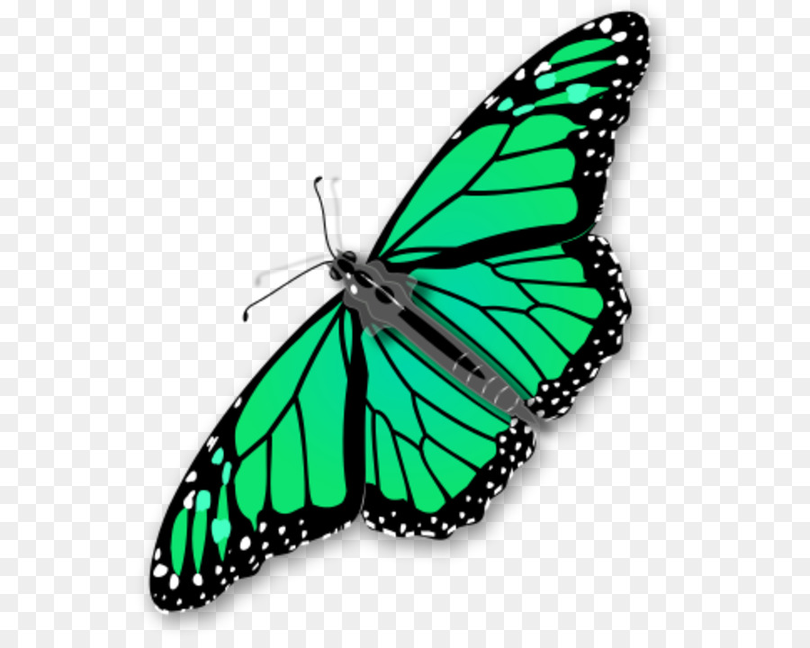 900x720 Monarch Butterfly Clip Art
