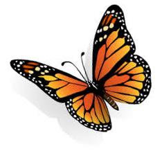 234x234 Monarch Butterfly Clipart Clipartlook