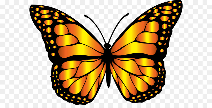 900x460 Monarch Butterfly Insect Clip Art