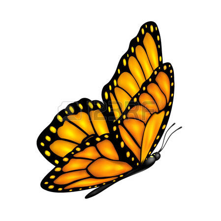 450x450 Realistic Butterfly Flying Clipart Amp Realistic Butterfly Flying