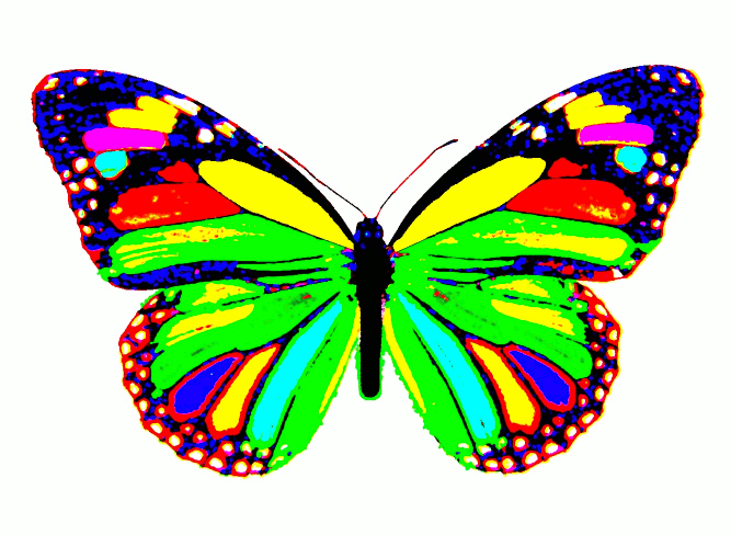 667x488 Animated Butterfly Gifs Clipart Clip Art Gif