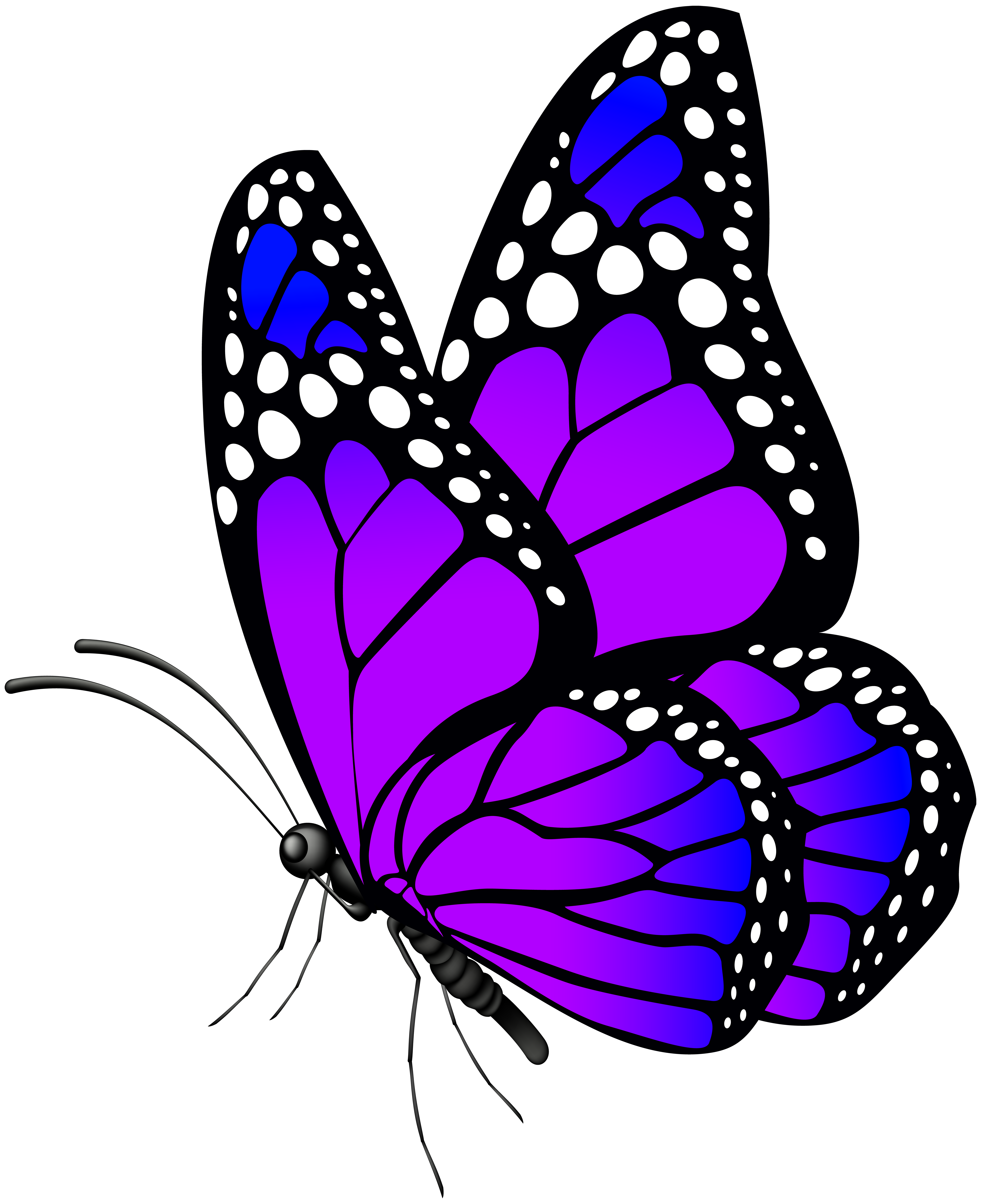 6521x8000 Butterfly Purple Png Clip Art Imageu200b Gallery Yopriceville