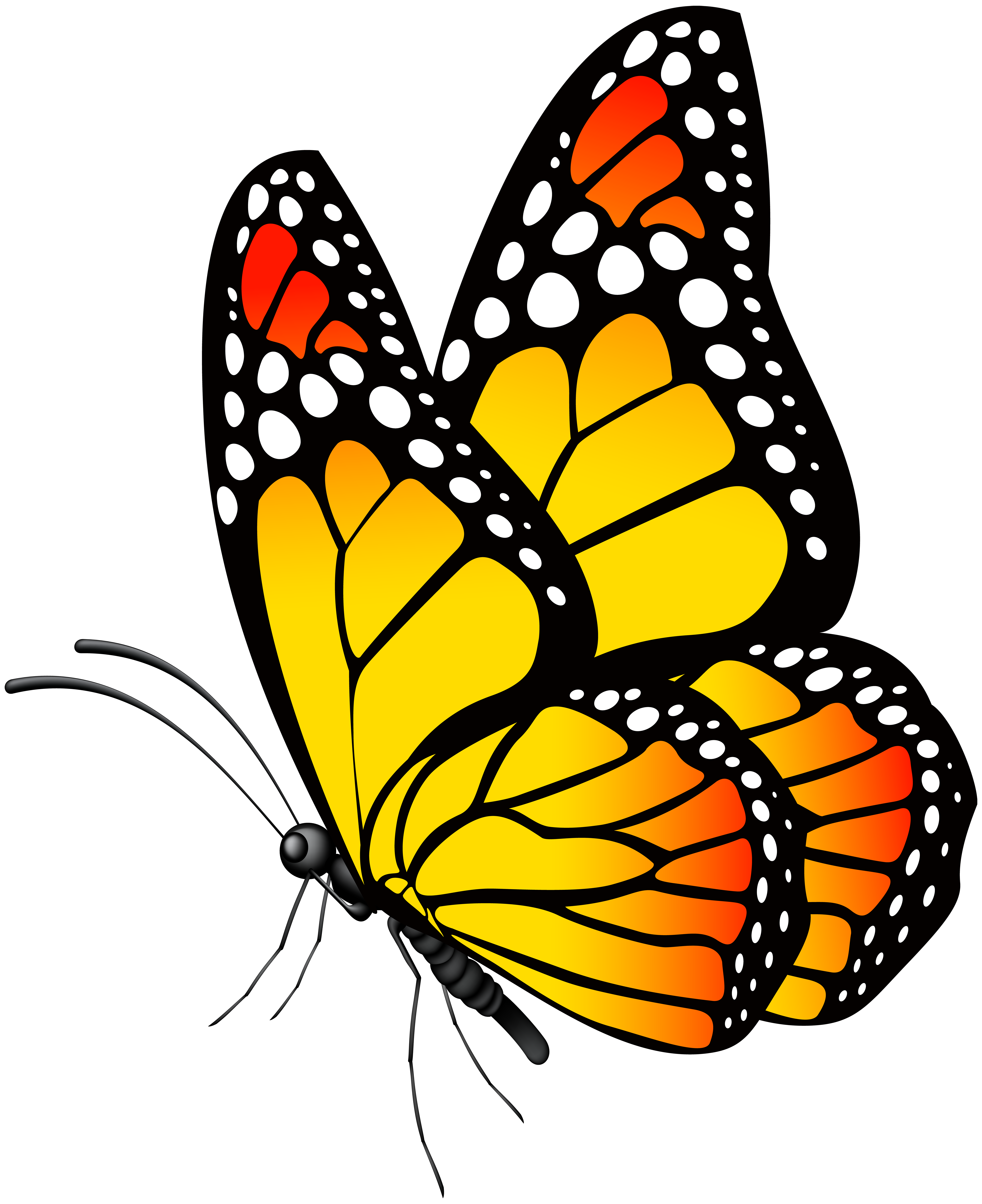 6521x8000 Butterfly Yellow Png Clip Art Imageu200b Gallery Yopriceville