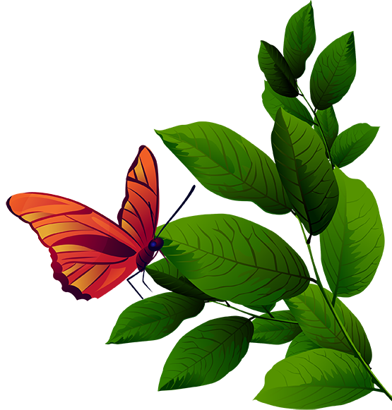 555x581 Tubes Arbres Arbustes Feuillages Tubes Bloemen