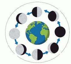 236x214 Free Moon Phases Cycle Real Photos Clipart {Zip A Dee Doo Dah