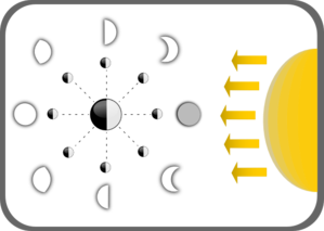 299x213 Diagram Of Moon Phases Clip Art